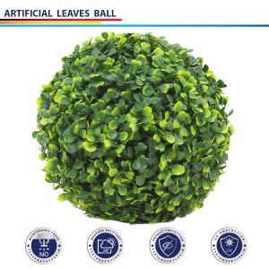 Ivy Ball