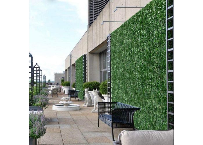 Ivy screen outlet
